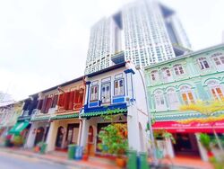 Duxton Road (D2), Shop House #587083051